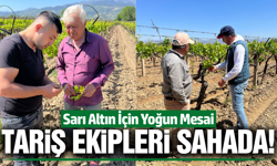 TARİŞ'ten Alaşehirli üreticiye teknik destek!