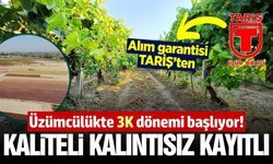 TARİŞ'ten alım garantisi: '3 K’lı Üzüm Yetiştiriciliği'