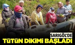 Sarıgöl'de tütün sezonu açıldı!
