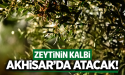 Geleneksel zeytin yetiştiriciliği çalıştayı Akhisar’da başlıyor