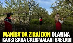 Manisa'da hasar tespit çalışmaları başladı