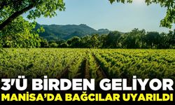 Sarıgöl’de bağcılar için kritik uyarı