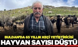 Buldan'da kurban hareketliliği başladı: Üretici dertli