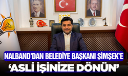AK Partili Nalband’tan Şimşek’e Sert ‘Gezi’ Tepkisi