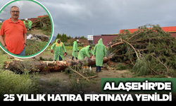 Alaşehir'de 25 Yıllık Manevi Kayıp: O Ağacın Hikayesi Duygulandırdı