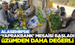 Alaşehir'de Yaprak Fiyatı Üzümü Solladı