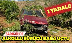 Sarıgöl’de kontrolden çıkan otomobil üzüm bağına uçtu