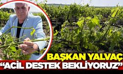 Başkan Yalvaç yetkililere seslendi!