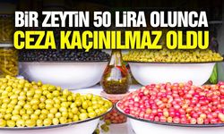 Zeytinin tanesi 50 lira olunca bakanlık sessiz kalmadı!