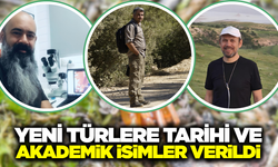 Ege’nin Saklı Dünyasından Bilim Dünyasına: 8 Yeni Örümcek Türü Keşfedildi