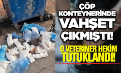 Kedi K*tliamında Flaş Gelişme: Serbest Bırakılan Veteriner Tutuklandı!
