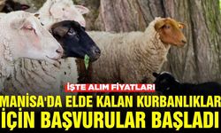 Manisa Tarım İl Müdürlüğü duyurdu: ESK satın alacak