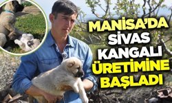 Manisa'da bir ilk: 23 yaşında bir sağlıkçı yetiştiriyor