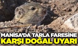 Manisa'da çiftçilere uyarı: Doğal denge korunmalı