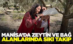 Manisa’da Tarımsal Üretimde Sıkı Takip: Zeytin ve Bağ Alanları Mercek Altında