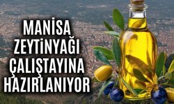 Manisa'da zeytinyağı çalıştayı hazırlıkları devam ediyor