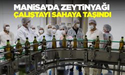 Manisa'da "Asırlık Ağaçtan Sofraya Zeytinyağı Çalıştayı”