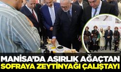 Manisa’da zeytinyağının geleceği masaya yatırıldı