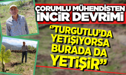 Manisa’nın İnciri Çorum’da Umut Oldu