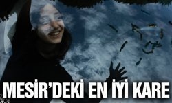 Mesir Festivalinde çekilmiş en güzel fotoğraf belli oldu
