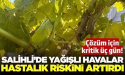 Salihli'de bağlar için kritik dönem: O tarihler işaret edildi