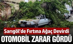 Sarıgöl'de şiddetli fırtına nedeniyle ağaç devrildi