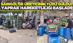 Sarıgöl’de bağ yaprağı mesaisi başladı