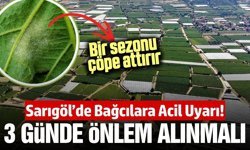 Sarıgöllü bağcılar dikkat: 3 gün için alarm verildi