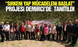 Demirci'de kanadı noktalı sineğine karşı biyoteknik mücadele