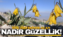 Spil Dağı zirvesinde görsel şölen!