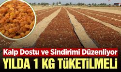 TARİŞ’ten kuru üzüm tüketimine dikkat çeken çağrı