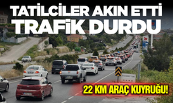 Tatilciler Akın Etti: 22 Kilometrelik Araç Kuyruğu!