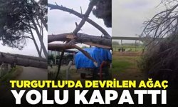 Turgutlu’da Devrilen Ağaç Yolu Kapattı