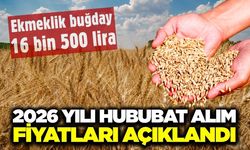2026 yılı hububat alım fiyatları belli oldu