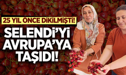Selendi'nin kırmızı altını şimdi Avrupa yolcusu!