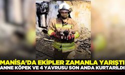 Manisa'da korkutan yangın: Anne köpek ve 4 yavrusu son anda kurtarıldı