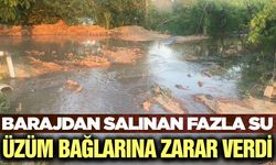 Bağları bu sefer susuzluk değil fazla su vurdu
