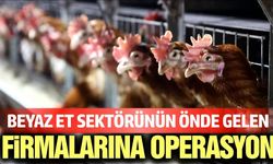 Beyaz et devlerine operasyon: 32 gözaltı, 13 şirkete kayyım