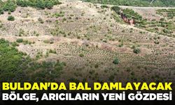 Arıcıların yeni gözdesi Buldan oldu!