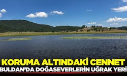 Buldan'da doğa harikası: 1150 rakımda!