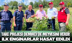 Demirci’de İlk Kez Yetiştirilen Enginar Yüzleri Güldürdü: TAKE Projesi Meyvelerini Veriyor