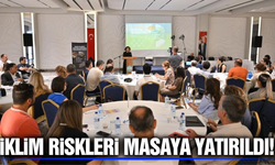 Manisa'nın iklim yol haritası belirlendi!