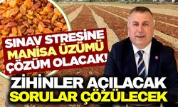 LGS'ye TARİŞ damgası! Milyonlarca öğrenciye üzüm dopingi