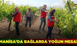 Manisa'da üreticilere dönemsel bilgilendirme