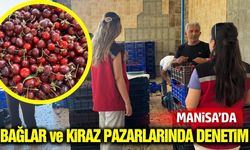 Tarım ekipleri Manisa’da sahaya indi