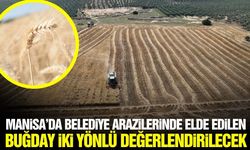 Manisa’da belediye üretiyor, vatandaşa ulaştırıyor: Buğday hasadı yapıldı