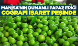 Manisa'da coğrafi işaret girişimi: Dumanlı Eriği tescillenecek