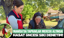Manisa'da Güvenilir Gıda Seferberliği: Asma Yapraklarına Laboratuvar İncelemesi