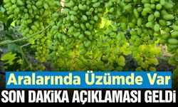 Manisa'da İl Tarımdan E-Reçete sistemi hakkında önemli bilgilendirme