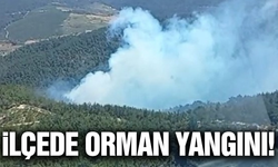 Manisa'da orman yangını: Havadan ve karadan müdahale ediliyor!